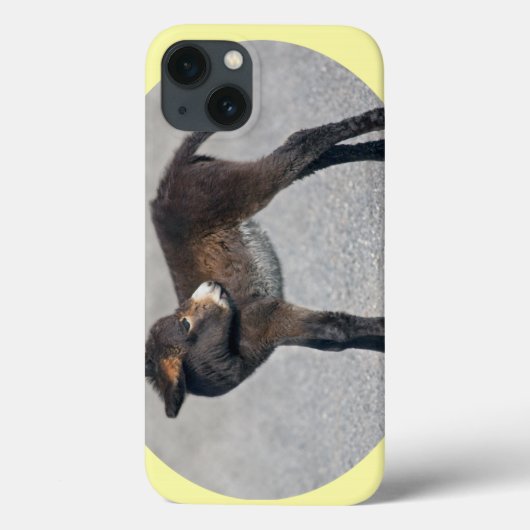 Burro iPad Case (Rückseite)