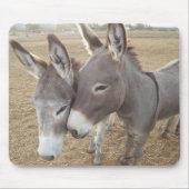 Burro-Liebe Mousepad (Vorne)