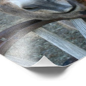 Burro over Wagon Wheel 8x10 Fotodruck (Ecke)