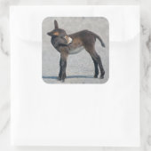 Burro Sticker (Tasche)