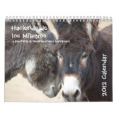 Burro-u. Pferdekalender Kalender (Titelbild)