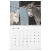 Burro-u. Pferdekalender Kalender (Mär 2027)