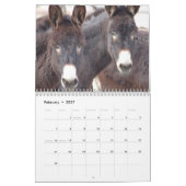Burro-u. Pferdekalender Kalender (Feb 2027)