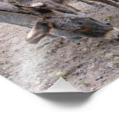 Burro und Baby Fotodruck (Ecke)