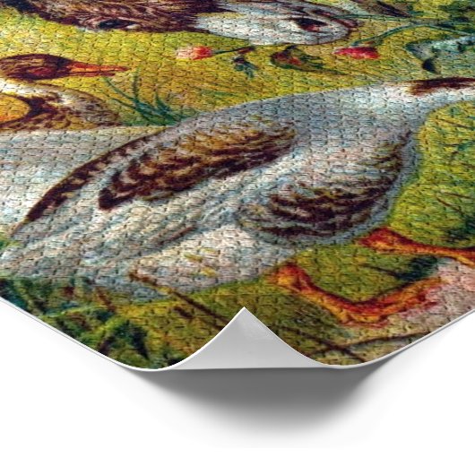 Burro und Gänse Poster (Ecke)