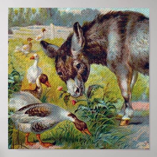 Burro und Gänse Poster (Vorne)