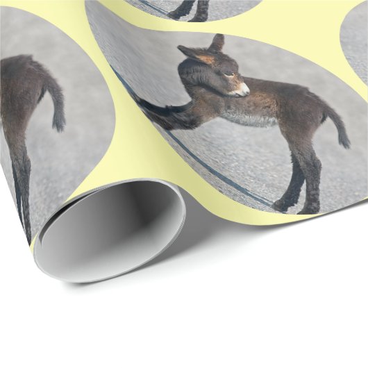 Burro Wrapping Paper Geschenkpapier (Rolleneckpunkt)