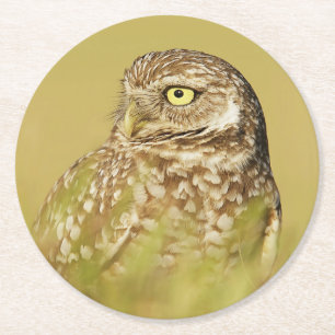 Burroing Owl Nah Up Profile Paper Untersetzer