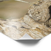 Burrowing Owl auf einer Cholla Rib Fotodruck (Ecke)