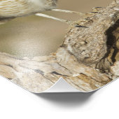 Burrowing Owl auf einer Cholla Rib Fotodruck (Ecke)
