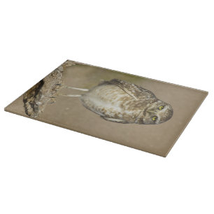 Burrowing Owl auf einer Cholla Rib Schneidebrett