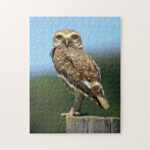 Burrowing Owl Bird of Prey Jigsaw Puzzle (Vertikal)