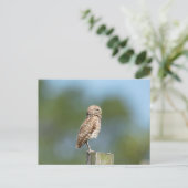 Burrowing Owl in Florida Postkarte (Stehend Vorderseite)