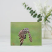 Burrowing Owl in Florida Postkarte (Stehend Vorderseite)