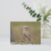Burrowing Owl in Florida Postkarte (Stehend Vorderseite)