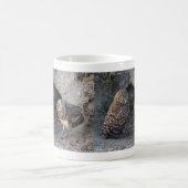 Burrowing Owl Kaffeetasse (Mittel)