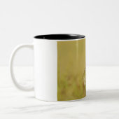 Burrowing Owl Nah nach Profil Zwei-Tonen-Kaffee-Ta Zweifarbige Tasse (Links)