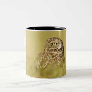 Burrowing Owl Nah nach Profil Zwei-Tonen-Kaffee-Ta Zweifarbige Tasse