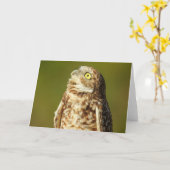 Burrowing Owl Notecard Karte (Gelbe Blume)
