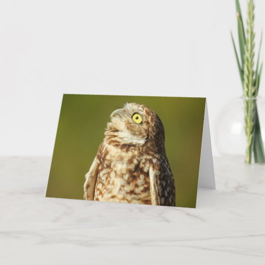 Burrowing Owl Notecard Karte (Vorderseite)