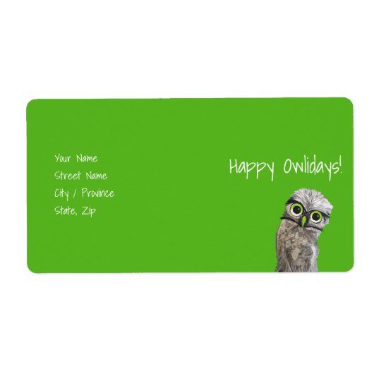 Burrowing Owls (Vorne)