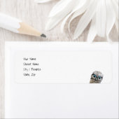 Burrowing Owls (Insitu)