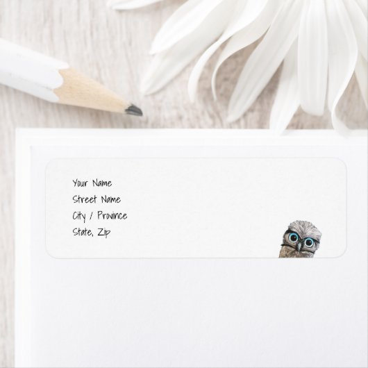 Burrowing Owls (Insitu)