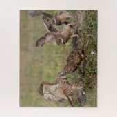 Burrowing Owls Jigsaw Puzzle (Vertikal)
