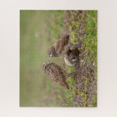Burrowing Owls Jigsaw Puzzle (Vertikal)