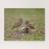 Burrowing Owls Jigsaw Puzzle (Horizontal)
