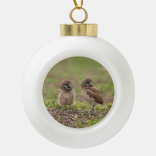 Burrowing Owls Keramik Ball Weihnachtsschmuck Keramik Kugel-Ornament