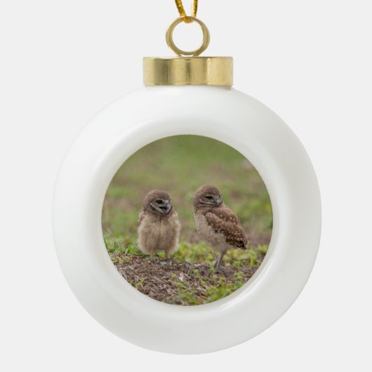 Burrowing Owls Keramik Ball Weihnachtsschmuck Keramik Kugel-Ornament (Vorderseite)
