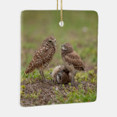 Burrowing Owls Keramik Ornament (Rechts)