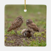Burrowing Owls Keramik Ornament (Rückseite)