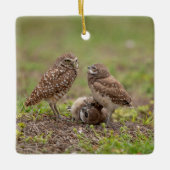 Burrowing Owls Keramik Ornament (Vorderseite)
