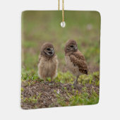Burrowing Owls Keramik Ornament (Rechts)