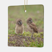 Burrowing Owls Keramik Ornament (Links)