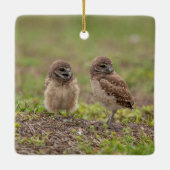 Burrowing Owls Keramik Ornament (Rückseite)