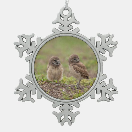 Burrowing Owls Snowflake Weihnachtsschmuck Schneeflocken Zinn-Ornament (Vorderseite)