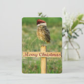 Burrowl Weihnachtskarte Feiertagskarte (Stehend Vorderseite)