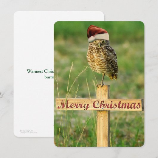 Burrowl Weihnachtskarte Feiertagskarte (Vorne/Hinten)