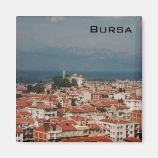 Bursa Magnet (Vorne)