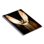 Bürste 2013 notizblock (Rechte Seite)