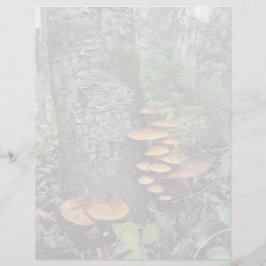 Bürsten - 8,5" x 11" Stationierblech