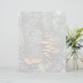 Bürsten - 8,5" x 11" Stationierblech (Stehend Vorderseite)