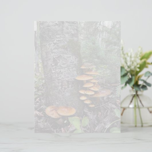 Bürsten - 8,5" x 11" Stationierblech (Stehend Vorderseite)