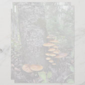 Bürsten - 8,5" x 11" Stationierblech (Vorne/Hinten)