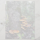 Bürsten - 8,5" x 11" Stationierblech (Rückseite)