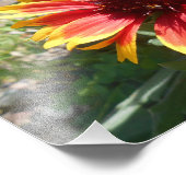 Bursting Bright Fotodruck (Ecke)