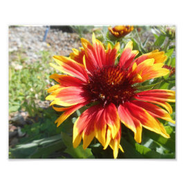 Bursting Bright Fotodruck